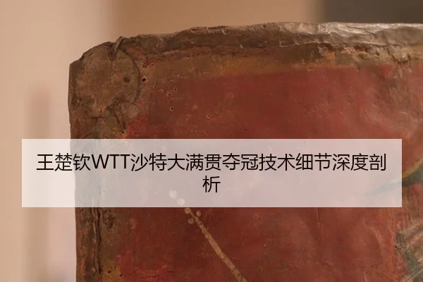 wang-chu-qin-sha-te-da-man-guan-duo-guan-ji-shu-xi-jie-shen-du-pou-xi-2-779.jpg